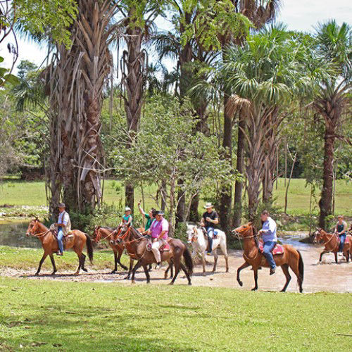 Tiuma Park - Pasaporte Cerrero